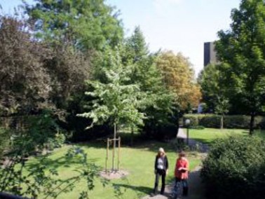 Der Garten des Altenheim Pflegeheim Pflegezentrum für Seniorinnen Marienstraße in Hannover