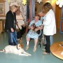 Hundetherapie im Samariterstift Geislingen