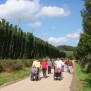 Ausflüge in die Umgebung zeigen die schöne Landschaft um Wolnzach beim Seniorenheim Pflegeheim Altenheim Betreutes Wohnen Psychisch Kranke Haus der Generationen Hallertau in Wolnzach