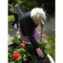 Die Bewohner können den Garten mitgestalten