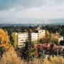 Das Luisenhaus und der angrenzende Naturpark Habichtwald