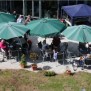 Lebensfreude pur: das große Sommerfest