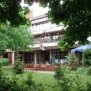 Terrasse im Grünen