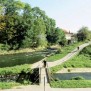 Liebesgrund und tausendjähriger Rosenstock in Hildesheim
