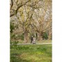 Die Bewohner genießen die gute Luft bei einem Spaziergang im Volksgarten