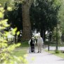 Die Gebäude liegen wunderschön in einem Parkgelände an der Rheinpromenade