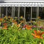Der Garten mit Terrasse