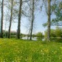 Ausblick auf die Wiese hinter dem Altenzentrum St. Anna