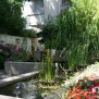 Teich im Garten des Samariterstifts Zuffenhausen in Stuttgart-Zuffenhausen