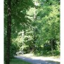 Der nebenan des AWO Pflegeheim und Seniorenzentrum Bürgerstift Ismaning gelegene Schlosspark lädt zum Spazieren und Erholen ein