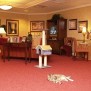 Vierbeinige Besucher sind in der Elbschloss Residenz Klein Flottbek herzlich willkommen