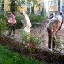 Hilfe und Erfahrung bei der Gartenarbeit wird gerne angenommen