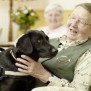 Seniorin mit Hund im Service-Wohnen am Nordring in Gütersloh