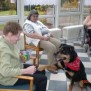 Hundetherapie mit der ausgebildeten Hündin Maxima im Alten- und Pflegeheim Haus Bliesaue in Ottweiler