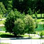 Gartenanlage mit dahinter liegendem See