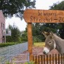 Zum Scheipers Hof gehört der Streichelzoo, der von den Bewohnern gerne besucht wird