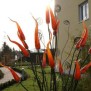 Dieses Kunstgebilde lädt zum Spaziergang im Garten ein im Wohnpark Roggenstein in Puchheim