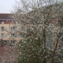 Herzlich Willkommen im Heinrich-Zschokke-Tagespflegehaus