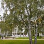 Direkt vorm Gebäude befindet sich eine Parkanlage des KerVita Senioren-Zentrum "Am Botanischen Garten" in Rostock