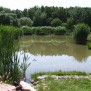 Der Karpfenteich im Garten der Senioren-WG Ettenhuber