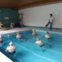 Schwimmbad der Senioren Residenz Bad Windsheim