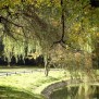 Park beim Vitanas Senioren Centrum Am Stadtpark 