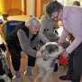 Therapiehund Balu mit Senioren im Seniorendomizil an der Panke