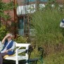 Auch die Bänke im Grünen werden gerne genutzt im Pflegeheim AWO-Altenhilfezentrum Lotte-Lemke-Haus in Bremerhaven