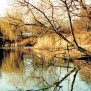 Schöne Lage am Bahrenfelder See
