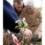 Gartenarbeit hält fit ...