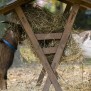 DRK Seniorenwohnheimm Haus Kehdingen Zoo