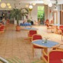 Der Palmengarten, der als Treffpunkt dient.