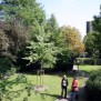 Der Garten des Altenheim Pflegeheim Pflegezentrum für Seniorinnen Marienstraße in Hannover