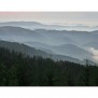 Nebel über dem badischen Schwarzwald in Bad Peterstal-Griesbach