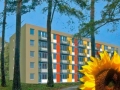 Service-Wohnen "In der Waldstadt"