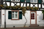 Altenheime, Pflegeheime, Seniorenwohnen in Ratekau