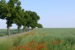 Altenheime, Pflegeheime, Seniorenwohnen in Aichach