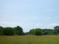 Altenheime, Pflegeheime, Seniorenwohnen in Bismark (Altmark)