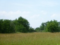 Altenheime, Pflegeheime, Seniorenwohnen in Steinfeld (Altmark)