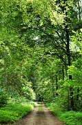 Altenheime, Pflegeheime, Seniorenwohnen in Unkel