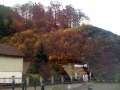 Altenheime, Pflegeheime, Seniorenwohnen in Zorge