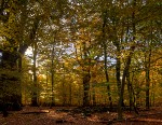 Altenheime, Pflegeheime, Seniorenwohnen in Bad Elster