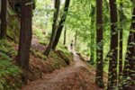Altenheime, Pflegeheime, Seniorenwohnen in Bergheim (Erft)