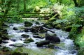 Betreutes Wohnen in Bammental