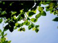 Betreutes Wohnen in Bocholt