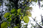 Betreutes Wohnen in Bochum