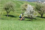 Betreutes Wohnen in Heimsheim