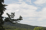 Altenheime, Pflegeheime, Seniorenwohnen in Hohenstein (Württemberg)