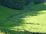Altenheime, Pflegeheime, Seniorenwohnen in Mühlheim an der Donau
