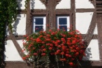 Altenheime, Pflegeheime, Seniorenwohnen in Neulingen (Enzkreis)